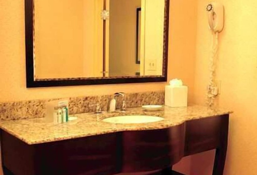 장애인을 위한 킹사이즈 침대 스탠다드 룸, Hampton Inn Philadelphia/voorhees