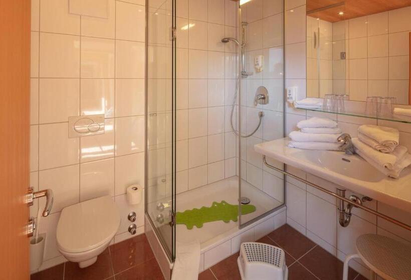Номер Стандарт Индивидуальный, Sonne Bezau   Familotel Bregenzerwald
