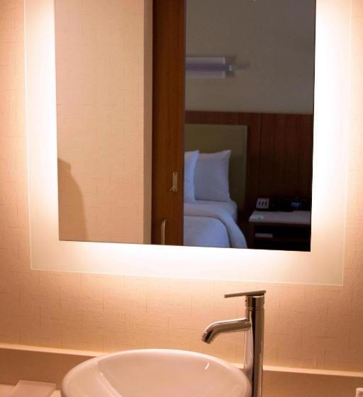 Студио Стандарт Кровать Кинг, Springhill Suites By Marriott Corpus Christi