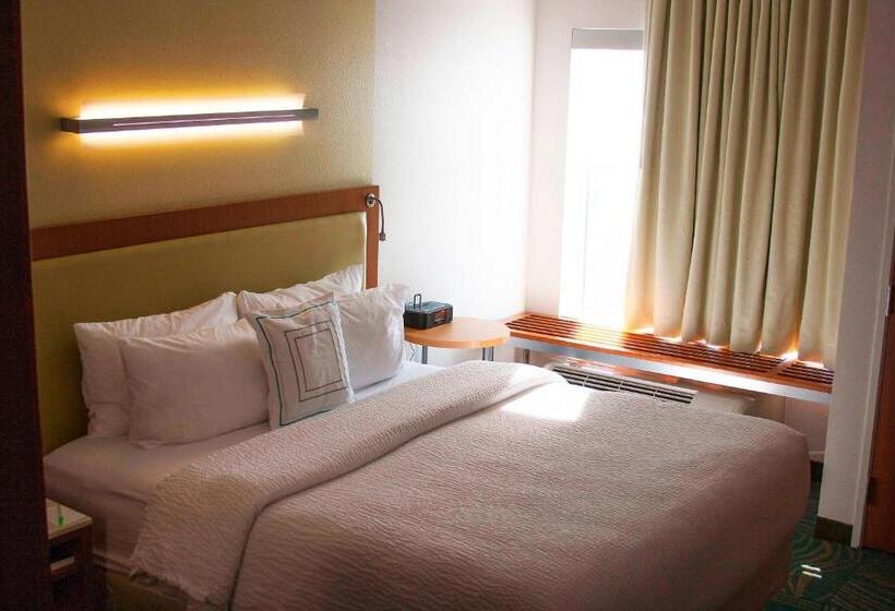 Студио Стандарт Кровать Кинг, Springhill Suites By Marriott Corpus Christi