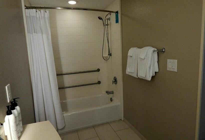 Студио Стандарт Кровать Кинг, Springhill Suites By Marriott Corpus Christi