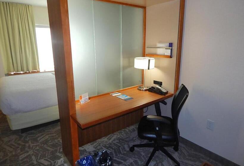 Студия Стандарт, Springhill Suites By Marriott Corpus Christi