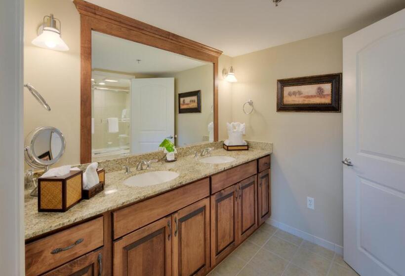 Люкс 2 Спальни, The Residences At Biltmore   Asheville