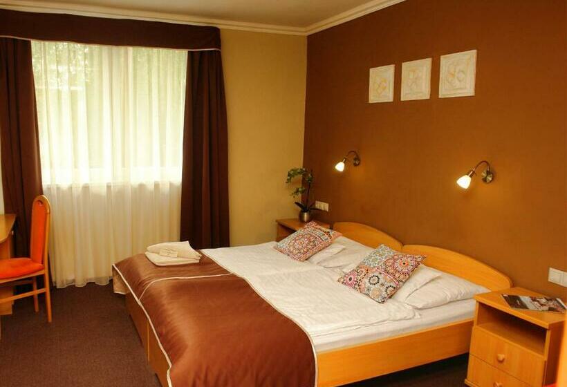 Номер Superior, Alfa Hotel & Wellness Miskolctapolca