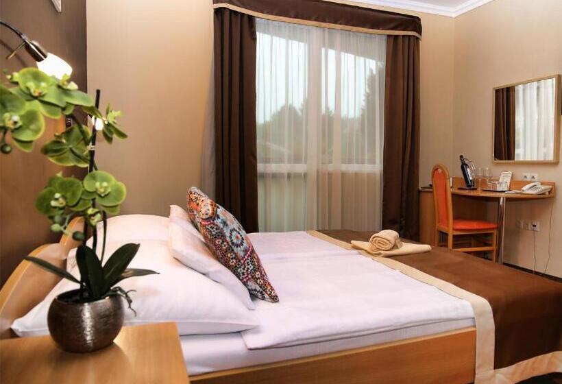 Номер Стандарт Индивидуальный, Alfa Hotel & Wellness Miskolctapolca