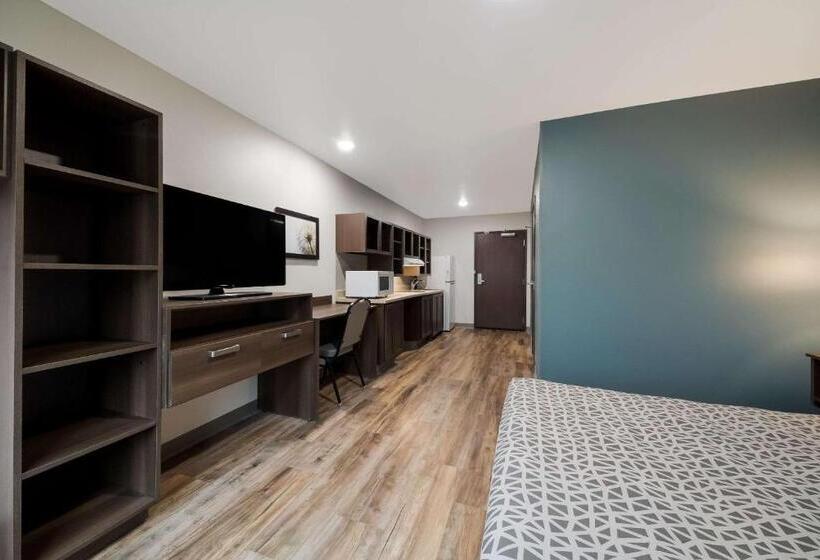 Suíte para Deficientes Físicos, Woodspring Suites San Antonio Utsa   Medical Center