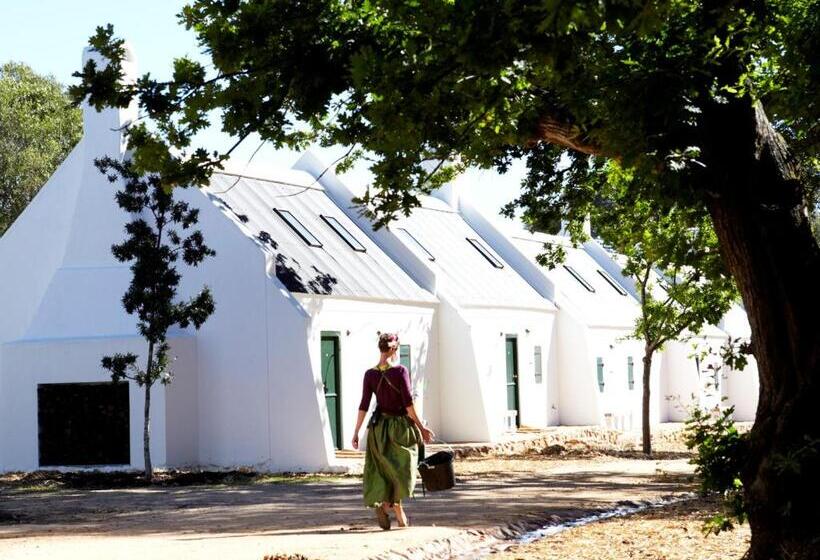 Люкс, Babylonstoren