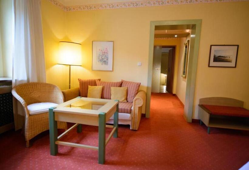 스탠다드 룸, Gasthof Hotel Zweimüller