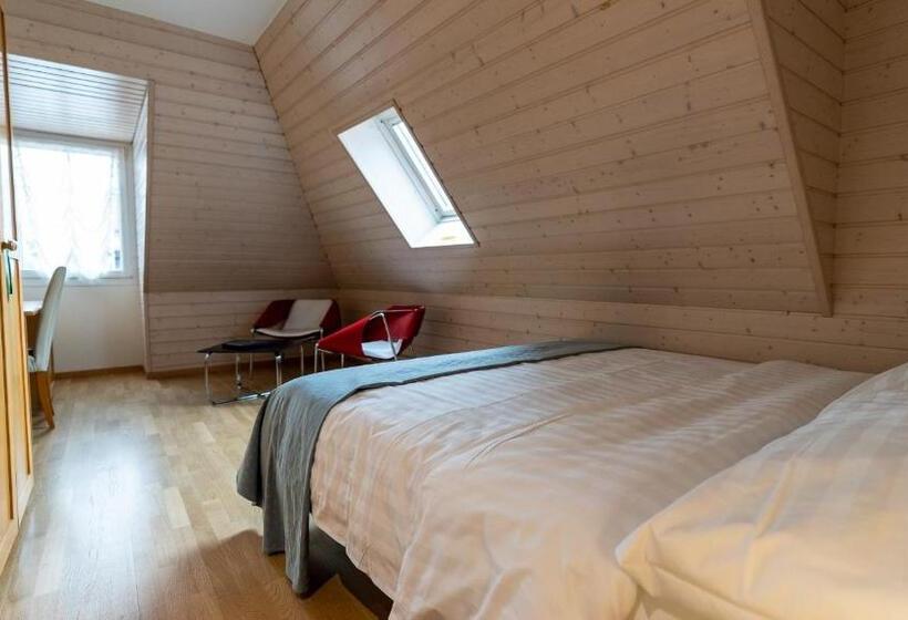 اتاق سوپریور, Hôtel Du Cheval Blanc   City Center