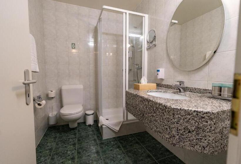 آپارتمان 3 خوابه, Hôtel Du Cheval Blanc   City Center