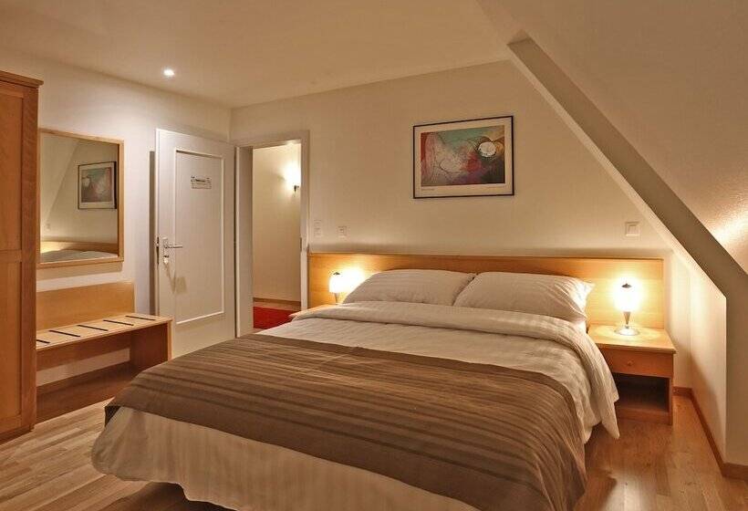 اتاق سوپریور, Hôtel Du Cheval Blanc   City Center