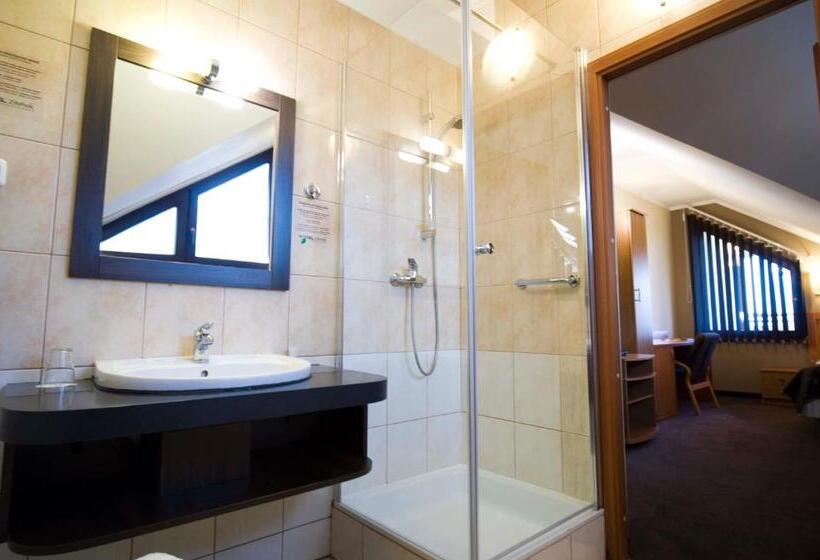 غرفة قياسية فردية, Zimnik Luksus Natury Spa & Wellness
