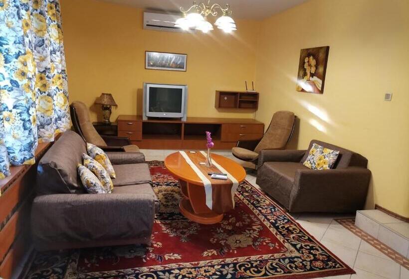 آپارتمان 1 خوابه با تراس, Guest House Yanita