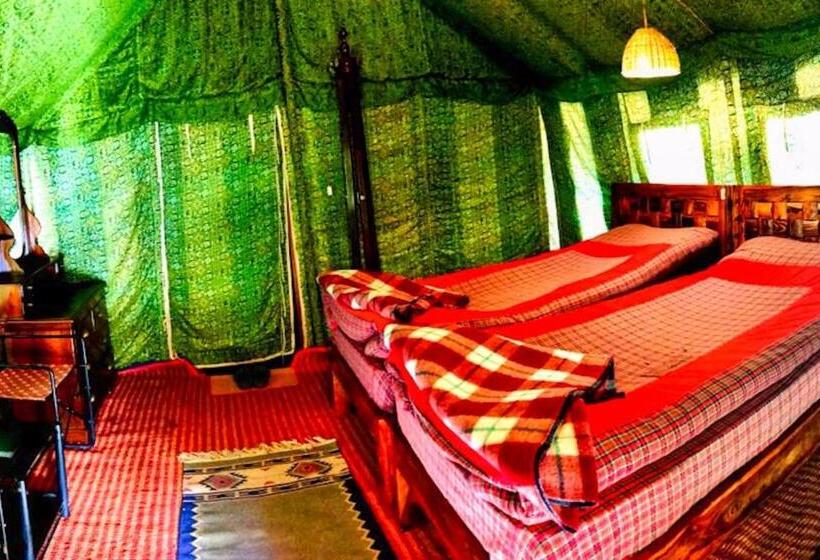 스탠다드 룸, Banjara Camp And Retreat Sangla