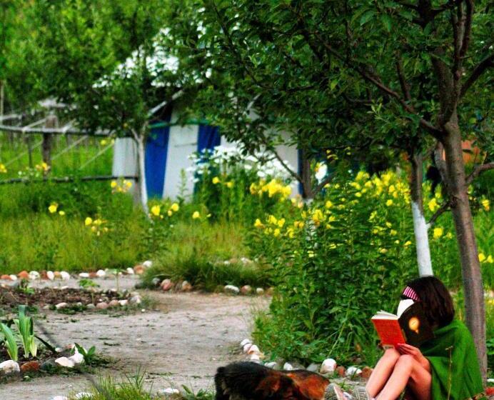 디럭스 룸, Banjara Camp And Retreat Sangla