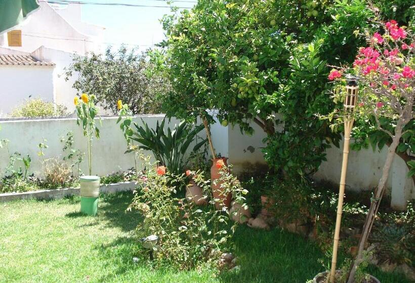 Quarto Economy, Lemon Tree Relaxing Guesthouse
