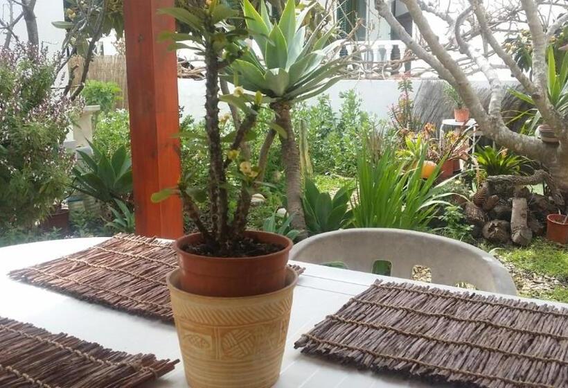 Quarto Economy, Lemon Tree Relaxing Guesthouse