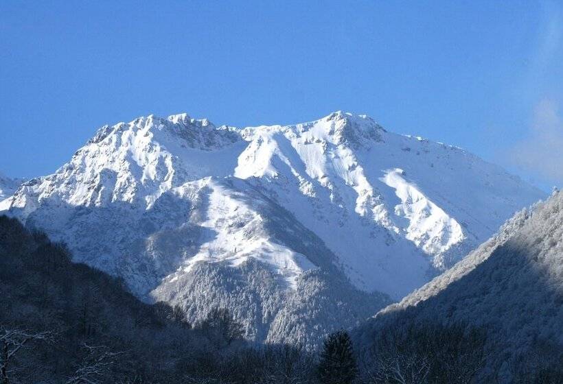 Апартаменты 1 Спальня, Domaine De Ramonjuan