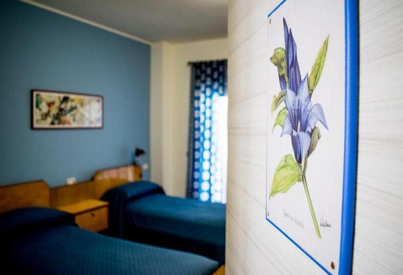 Номер Стандарт, B&b Fleurs