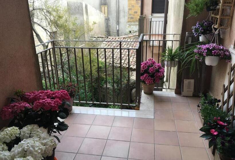 Номер Стандарт, B&b Fleurs