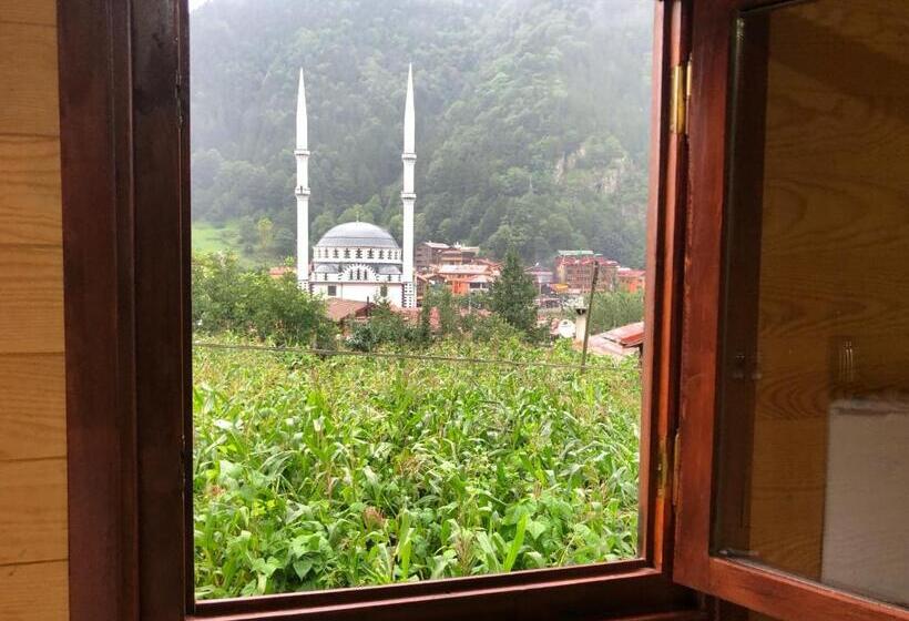 패밀리 룸 산 전망, Cerrahpaşa Sui̇te