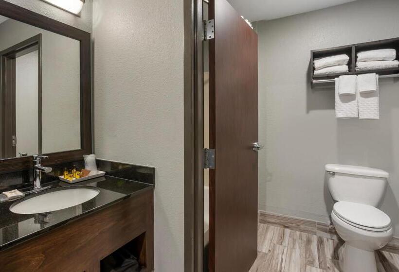 Стандартный Номер Кровать Кинг, Best Western Plus Columbia Inn