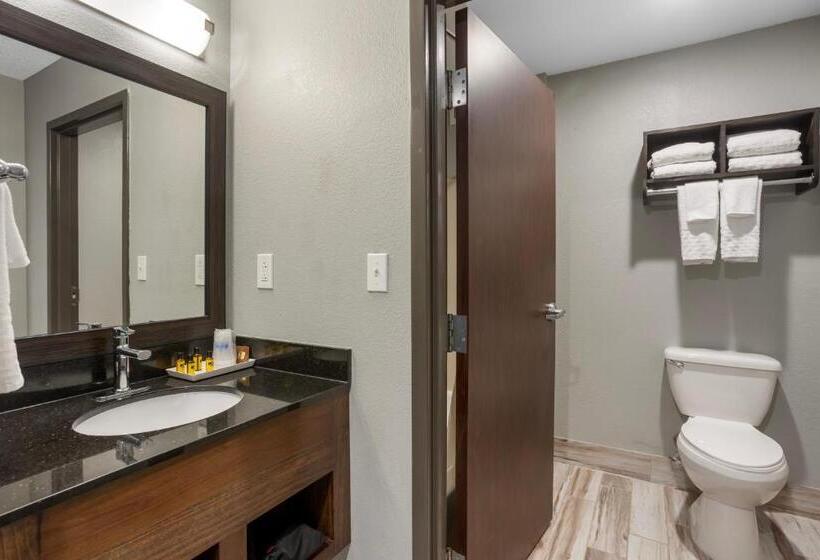Номер Стандарт, Best Western Plus Columbia Inn