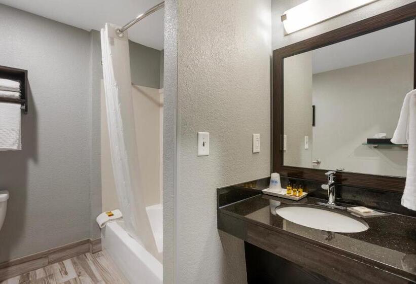 Номер Стандарт Кровать Кинг Адаптированный для Инвалидов, Best Western Plus Columbia Inn