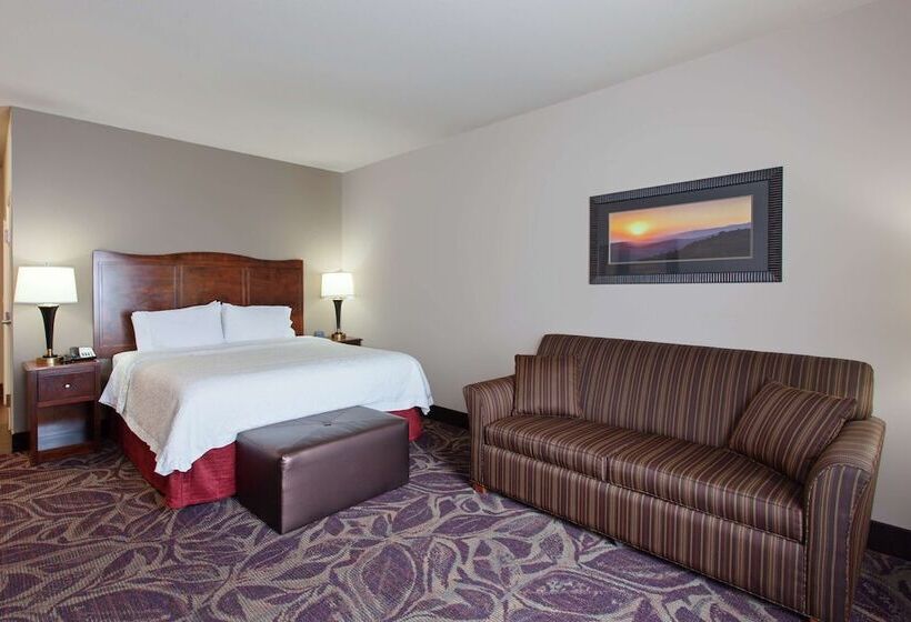 标准间带双人床, Hampton Inn Seattle/everett