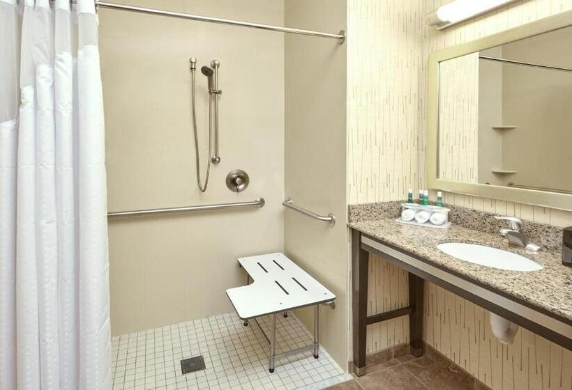 장애인을 위한 킹사이즈 침대 스탠다드 룸, Holiday Inn Express And Suites Columbia University Area, An Ihg