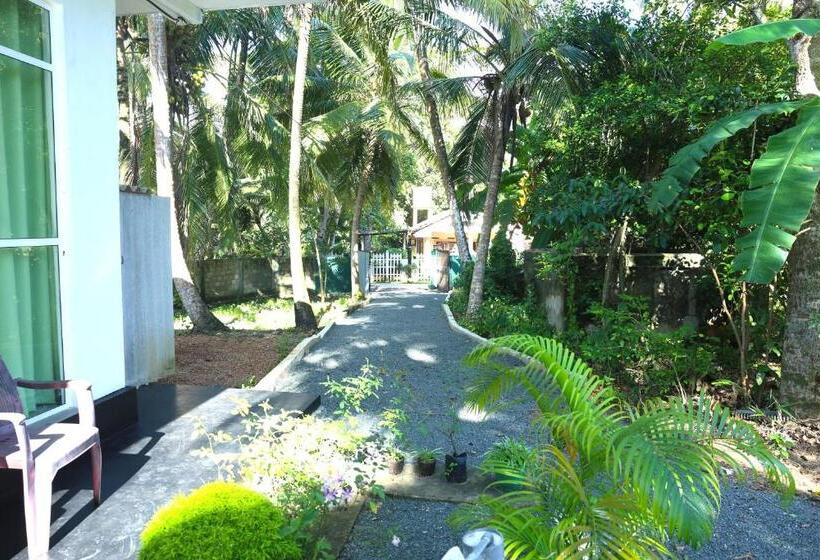 اتاق لوکس, Sandy Palms Guesthouse