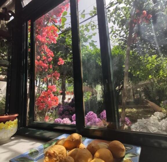标准单人间, Villa Dei Fiori B&b