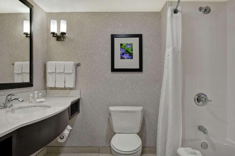 Люкс Кровать Кинг, Hilton Garden Inn Fayettevile