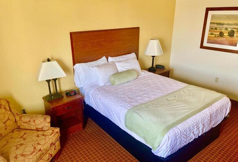 Номер Стандарт, Park View Inn & Suites