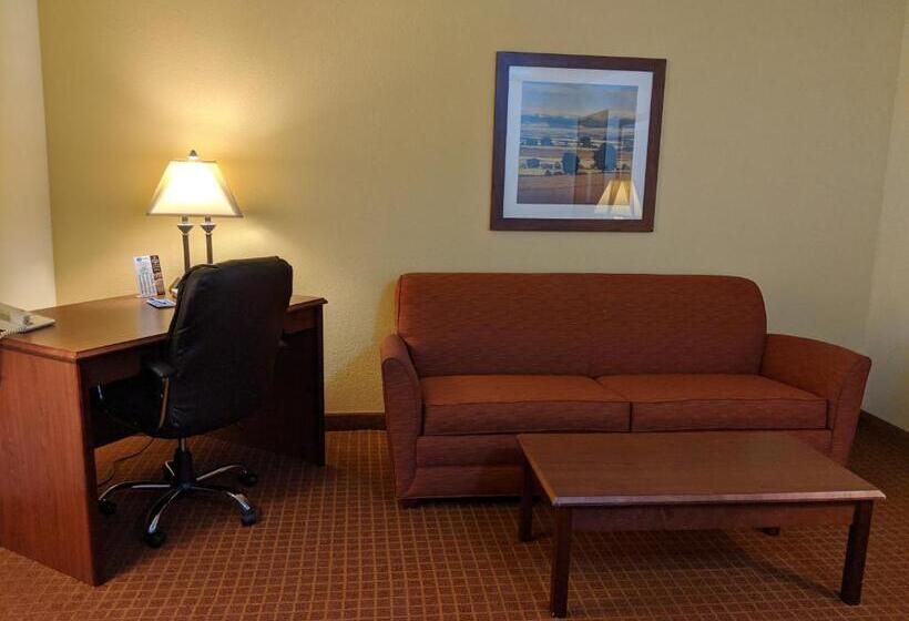 Люкс Кровать Кинг, Park View Inn & Suites