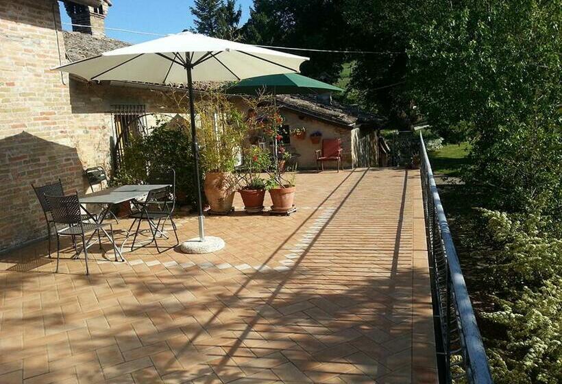 Студия Стандарт, B&b I Canonici