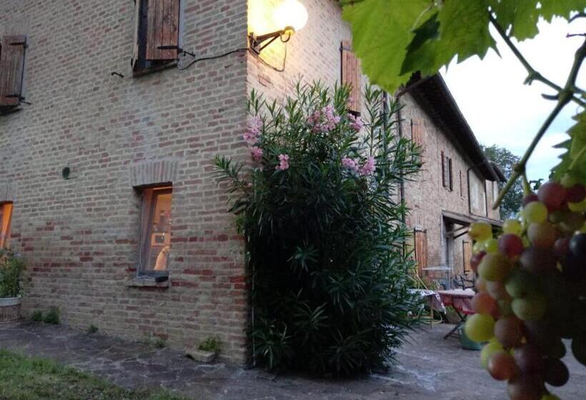 Студия Стандарт, B&b I Canonici