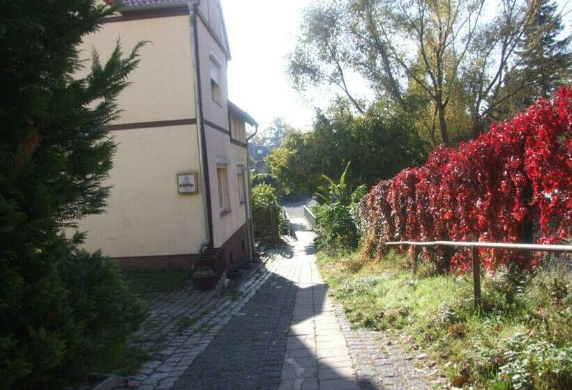 Номер Стандарт Индивидуальный Совместная Ванная, Hostel Schützenbrücke