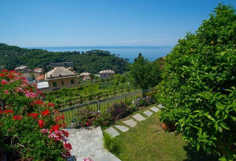 اتاق استاندارد, Le Clementine B&b