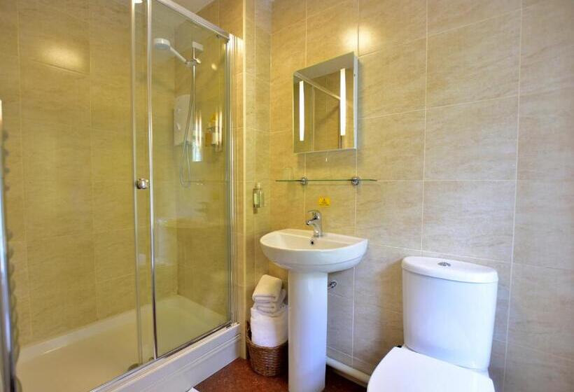 Номер Стандарт, Bryn Tyrch Rooms