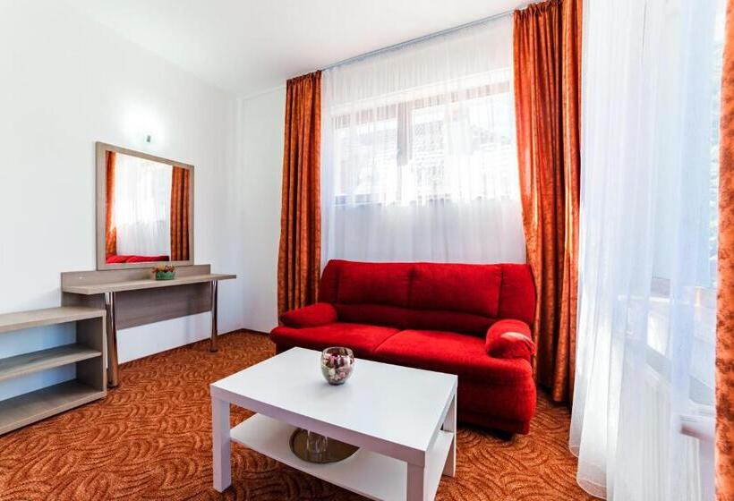 Номер Superior Кровать Кинг, Pensiunea Constanta