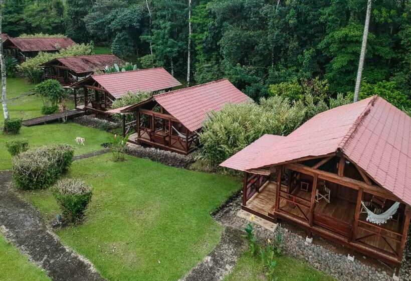 스탠다드 룸, La Anita Rain Forest