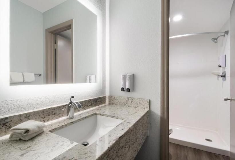 Номер Superior Кровать Кинг, Red Roof Inn Rocky Mount   Battleboro