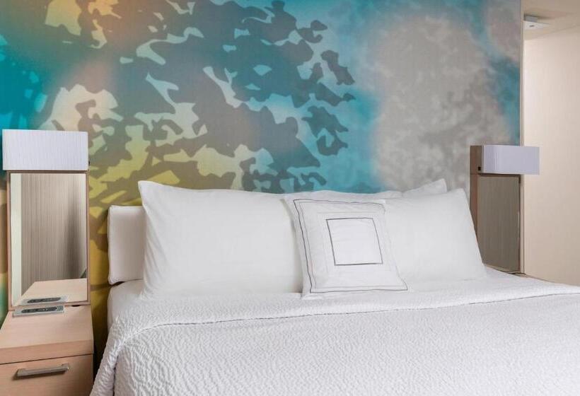 장애인을 위한 킹사이즈 침대 스탠다드 룸, Courtyard By Marriott Bismarck North