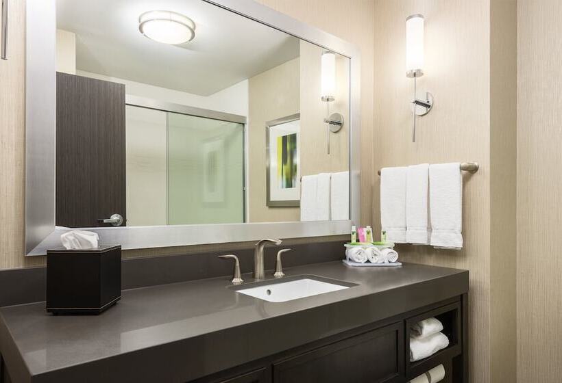 Люкс, Holiday Inn Express And Suites Norman, An Ihg