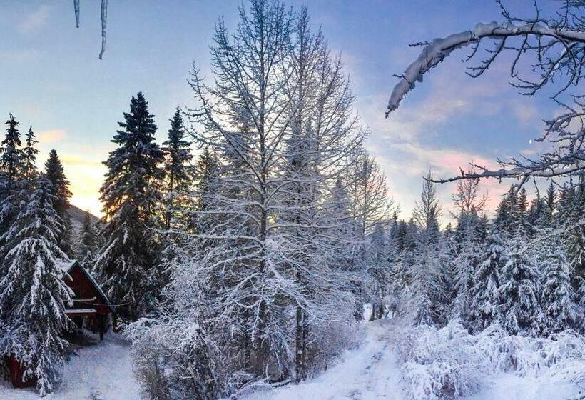 Студия Стандарт, Jewel Chalet