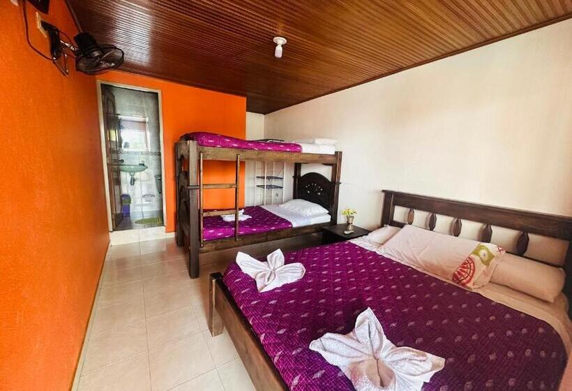 Четырехместный Номер Стандарт, Caribe La Vega