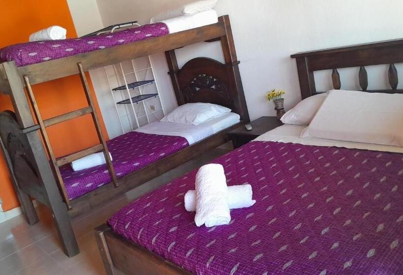 Четырехместный Номер Стандарт, Caribe La Vega