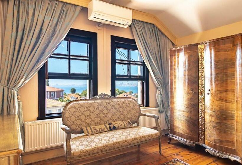 Полулюкс Повышенной Комфортности, Büyükada Anastasia Meziki History Mansion