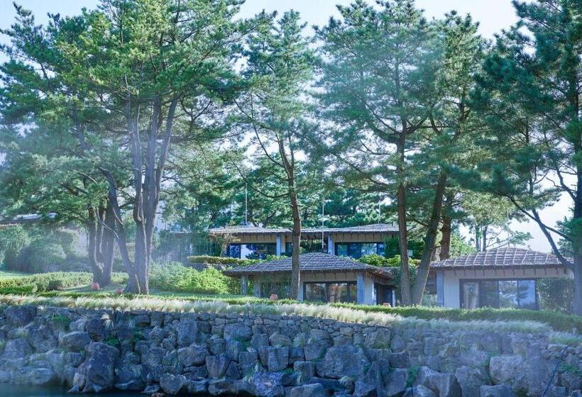 Вилла с 1 спальней и бассейном, Amber Pure Hill Hotels & Resorts Jeju